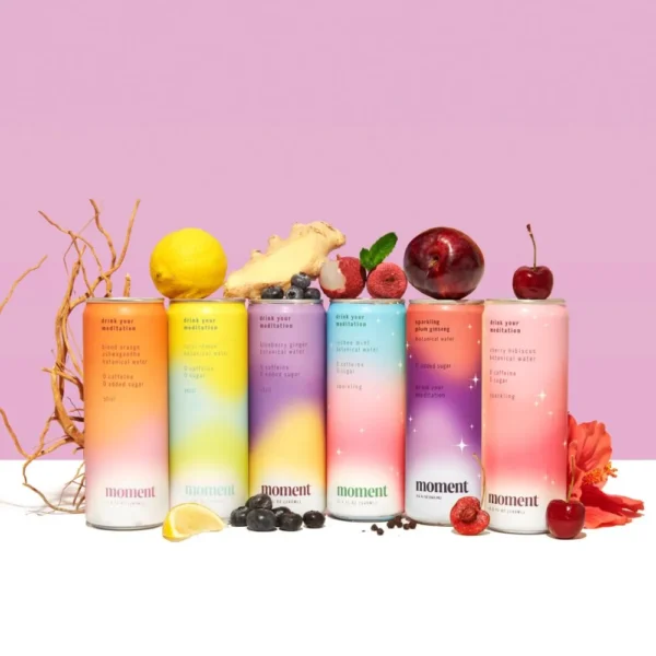 Moment Still & Sparkling Mixed Variety (24-Cans)