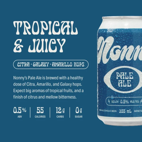 Nonny NA Pale Ale - Image 3