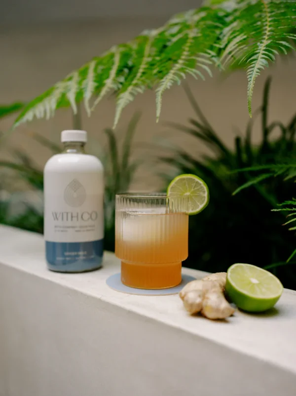 Ginger Mule – WithCo Jackass Cocktail Mixer - Image 4