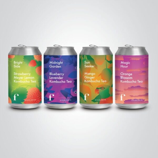 Kombucha Tea Mixed Flavors Case (12 Cans) - Image 2