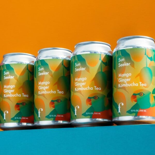 Kombucha Tea Mixed Flavors Case (12 Cans) - Image 4