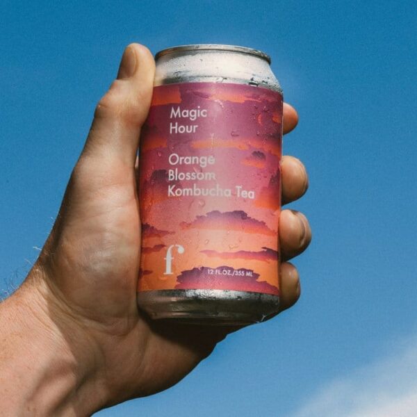 Kombucha Tea Mixed Flavors Case (12 Cans) - Image 6