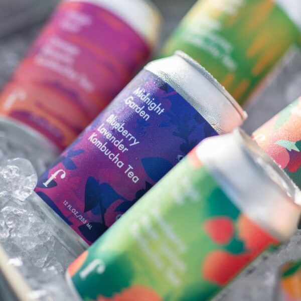 Kombucha Tea Mixed Flavors Case (12 Cans)