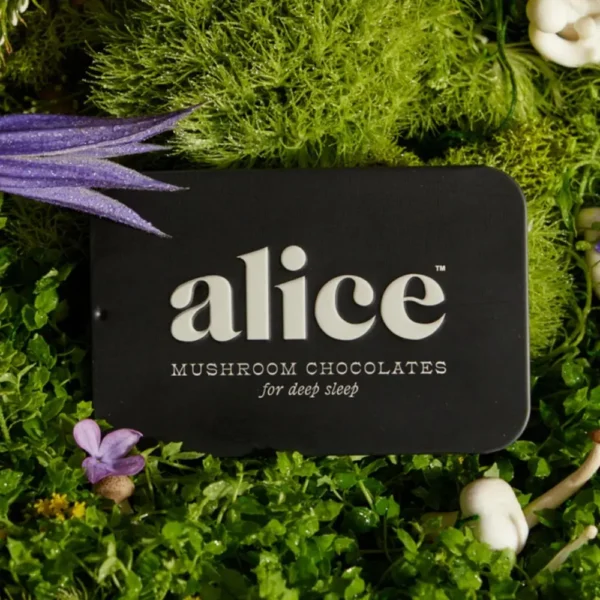 Nightcap Mushroom Chocolate