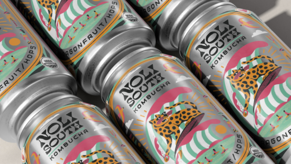 Noli South Kombucha Variety Pack (12 Cans) - Image 2