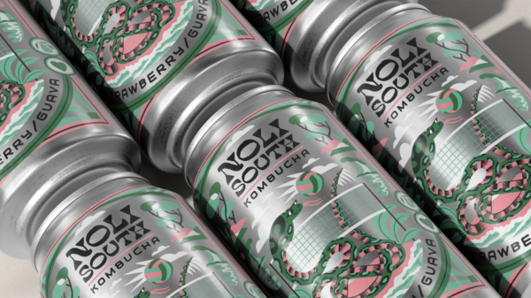 Noli South Kombucha Variety Pack (12 Cans) - Image 3