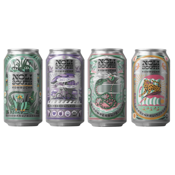 Noli South Kombucha Variety Pack (12 Cans)