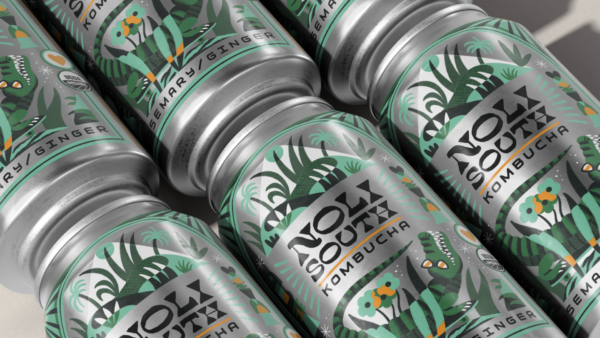 Noli South Kombucha Variety Pack (12 Cans) - Image 4